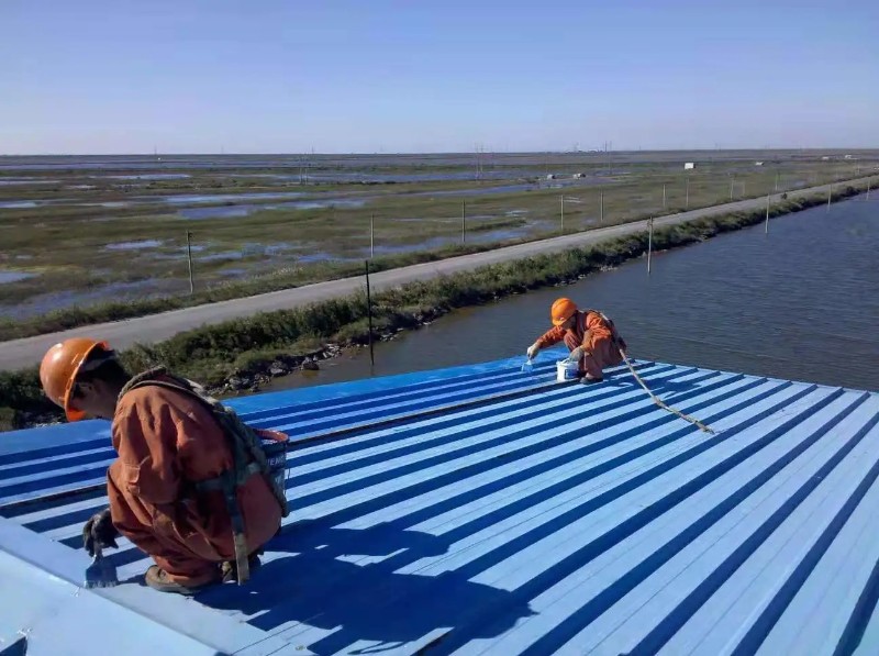 卢氏彩钢瓦屋面防腐翻新